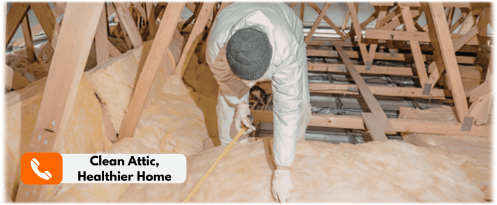 Attic Cleaning Scottsdale