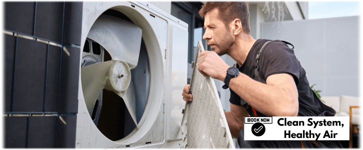 HVAC Mold Removal Scottsdale